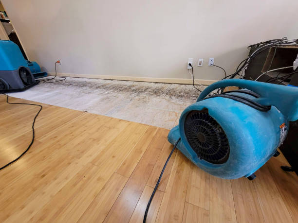 Professional Flood Damage Cleanup technician working in Oneida, TN